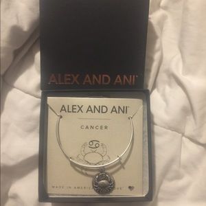 Alex and Ani bracelet Cancer Zodiac Sign